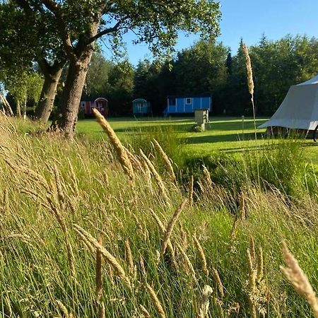 Pipowagens Bij Pannenkoekenrestaurant & Camping De Koppenjan 'Een Uniek Verblijf Met Kinderspeelboerderij' Jubbega-Schurega Exterior foto
