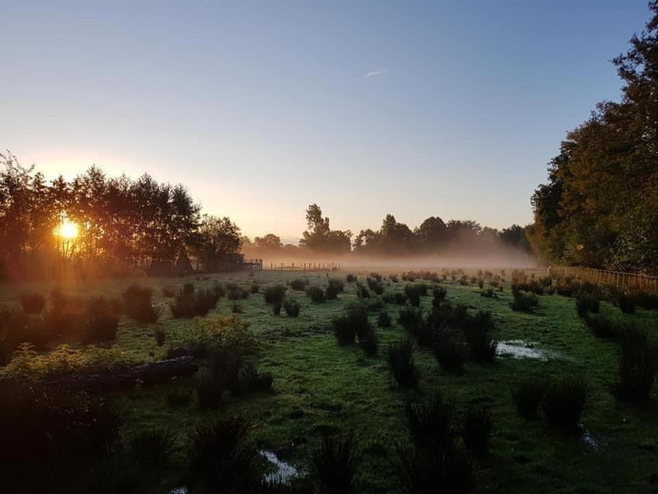 Pipowagens Bij Pannenkoekenrestaurant & Camping De Koppenjan 'Een Uniek Verblijf Met Kinderspeelboerderij' Jubbega-Schurega Exterior foto